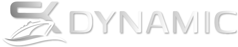 SK Dynamic logo